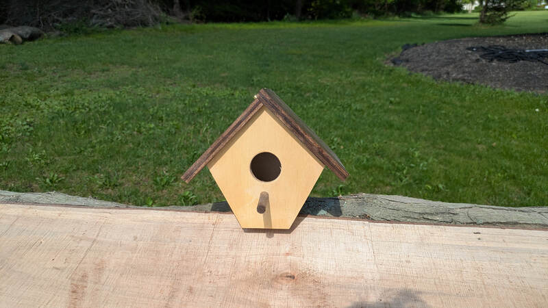 Bird House With Hindged Roof